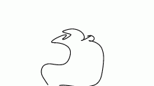 tail