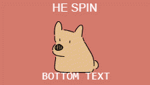 Spin