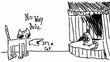 rat