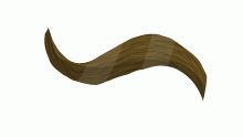 A shank of hair
