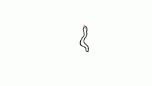 snek