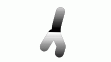 '