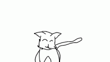 my cat