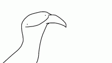 Birds be like: