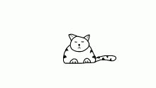 Pounce