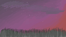 Sunset sky