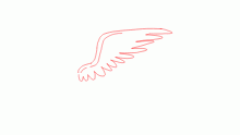 wing
