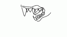 rawr
