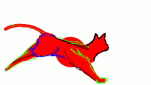 Cat anim. 1.5