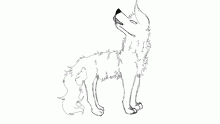 wolf base