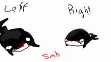 Left vs Right