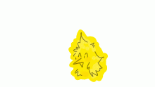 aaa
