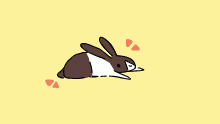 rabbit reveal