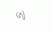 HOrse..run?