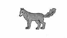 my wolf