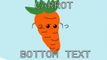 C A R R O T