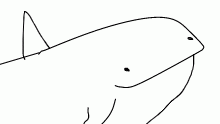 whal