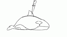 lazy animation
