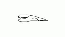 sleepy whale