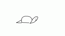 A snorkel/snail and turtle