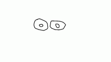 face descriptions