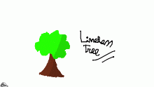 Lineless Tree