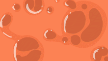 jelly