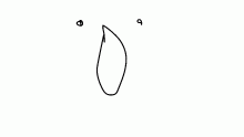 I HAVE KOIN