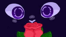 Red rose
