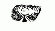 doodle