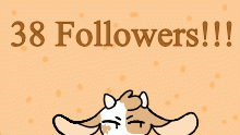 38 followers