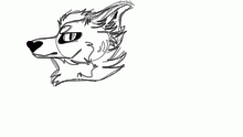 Owo