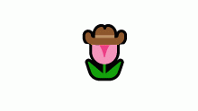 yee haw