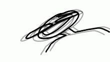 Avatar for Heckerdoodles