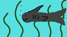 == BABY SHARK