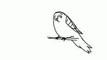 he sit