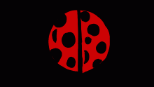 Avatar for -LadyBug-🐞