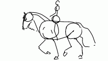 so this time i made a trot