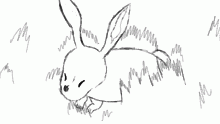 fav animal