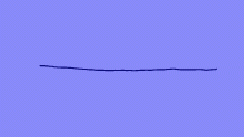 drawn a turtle