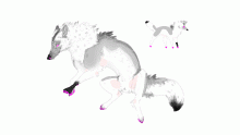 ssdooble