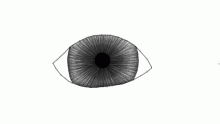eye