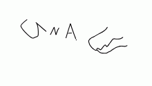 QnA