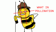 What in pollination