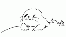 harp seals are way too cute