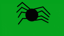 day 14-spider