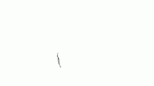 Latest animation by Dizzy
