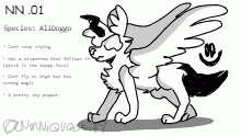 NN .01's Reference Sheet