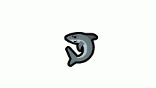 flustered shark
