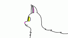 animal